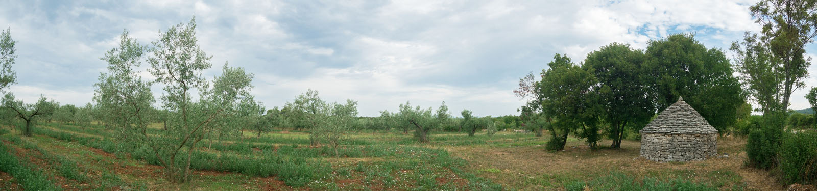 KAZUN PANORAMA